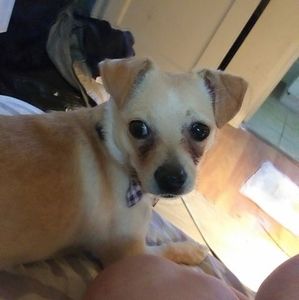 Meet your Posher, Rzetta